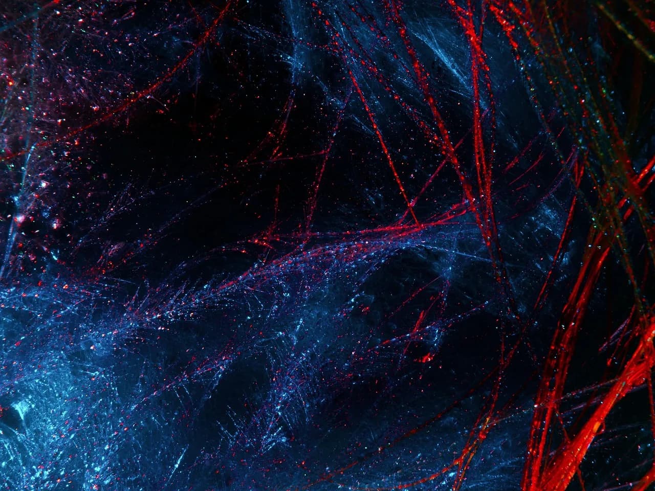 OmniHuman 1.5